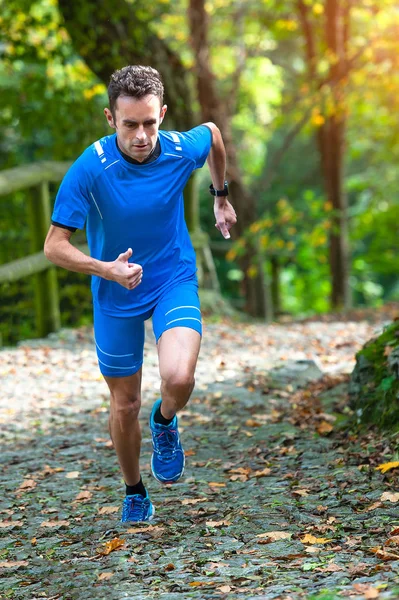 Hochgebirgsläufer Beim Bergauf Training — Stockfoto