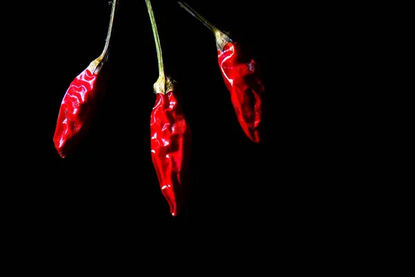 Dettaglio Peperoncini Fondo Nero — Foto Stock