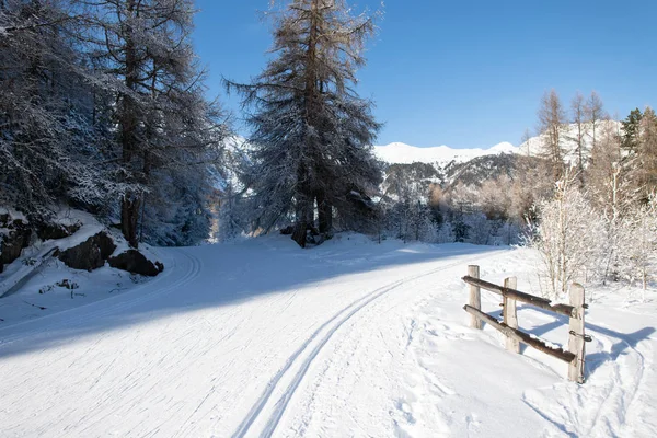 クラシックと無料の手法でノルディック スキー トレイル — ストック写真