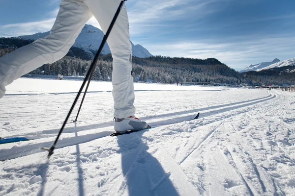 Piste Ski Fond Avec Pistes Pour Terrain Alternatif — Photo
