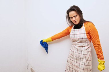 House woman finds mold in the corner of the house. clipart