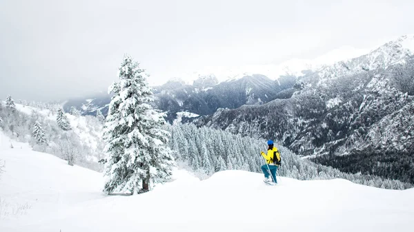 Paisagem Inverno Snowshoeing Solitário Nos Alpes — Fotografia de Stock