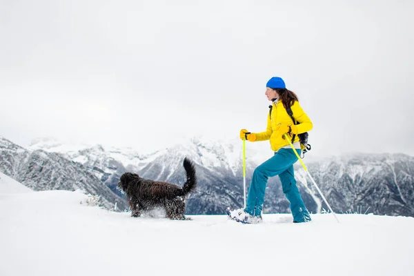 Chien Noir Avec Une Fille Sur Une Promenade Avec Des — Photo