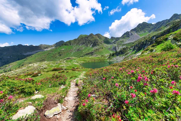 Porcile meren in de Brembana-vallei op de Orobie-Alpen — Stockfoto