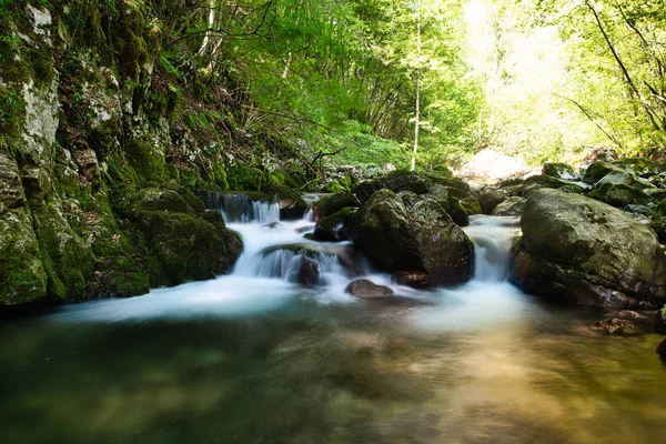 Fresh water in a small mountain stream — Stock Photo, Image