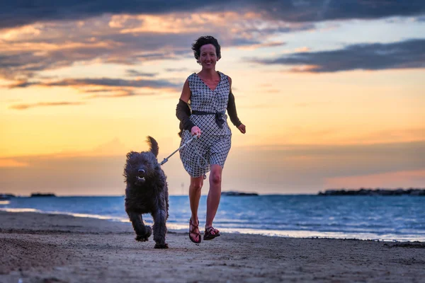 Hund mit Frauchen am Strand am Meer — Stockfoto