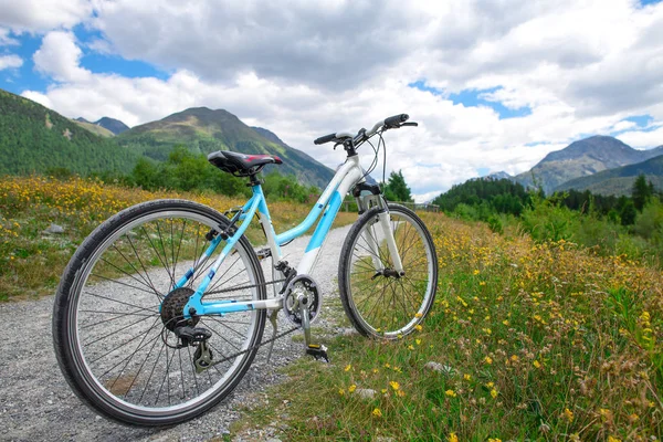 Un vélo de randonnée s'arrête sur un chemin de terre dans les montagnes — Photo
