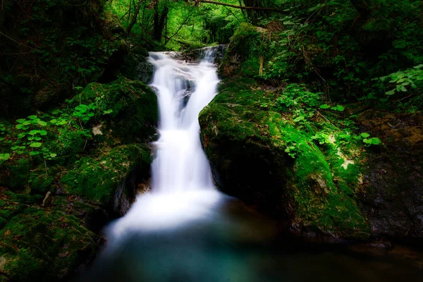 森の谷にある小さな滝 — ストック写真