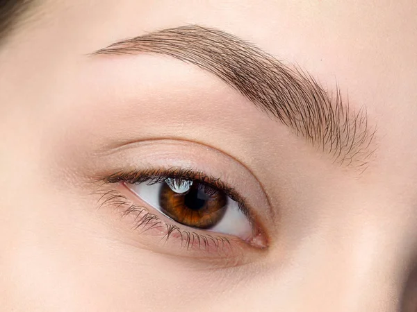 Vista de cerca de hermoso ojo femenino marrón —  Fotos de Stock