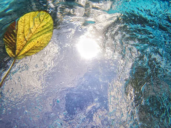 Modrá Voda Bazénu Nebo Moři Žlutým Listem Vznášejícím Povrchu Kvalitní — Stock fotografie