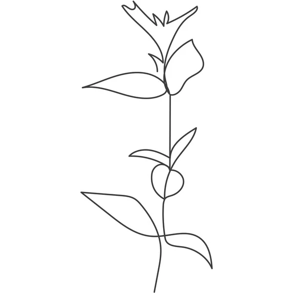 Uma Planta Desenhada Num Vector Por Uma Linha Contínua Ilustração — Vetor de Stock