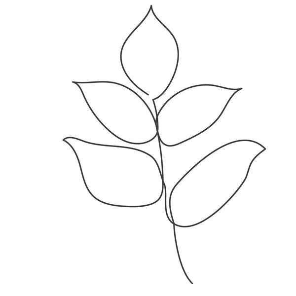 用一条线画在矢量上的植物 矢量说明 — 图库矢量图片