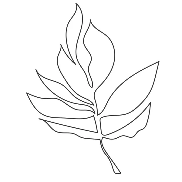 Uma Planta Desenhada Num Vector Por Uma Linha Contínua Ilustração — Vetor de Stock