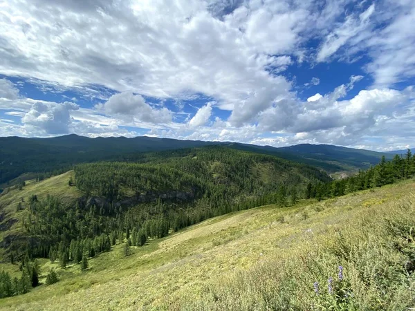 Paisagem montanhosa ao ar livre representando nuvens, coníferas e prados — Fotografia de Stock