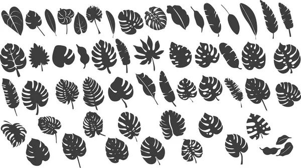 Silhouette de grandes feuilles et plantes trapézoïdes — Image vectorielle