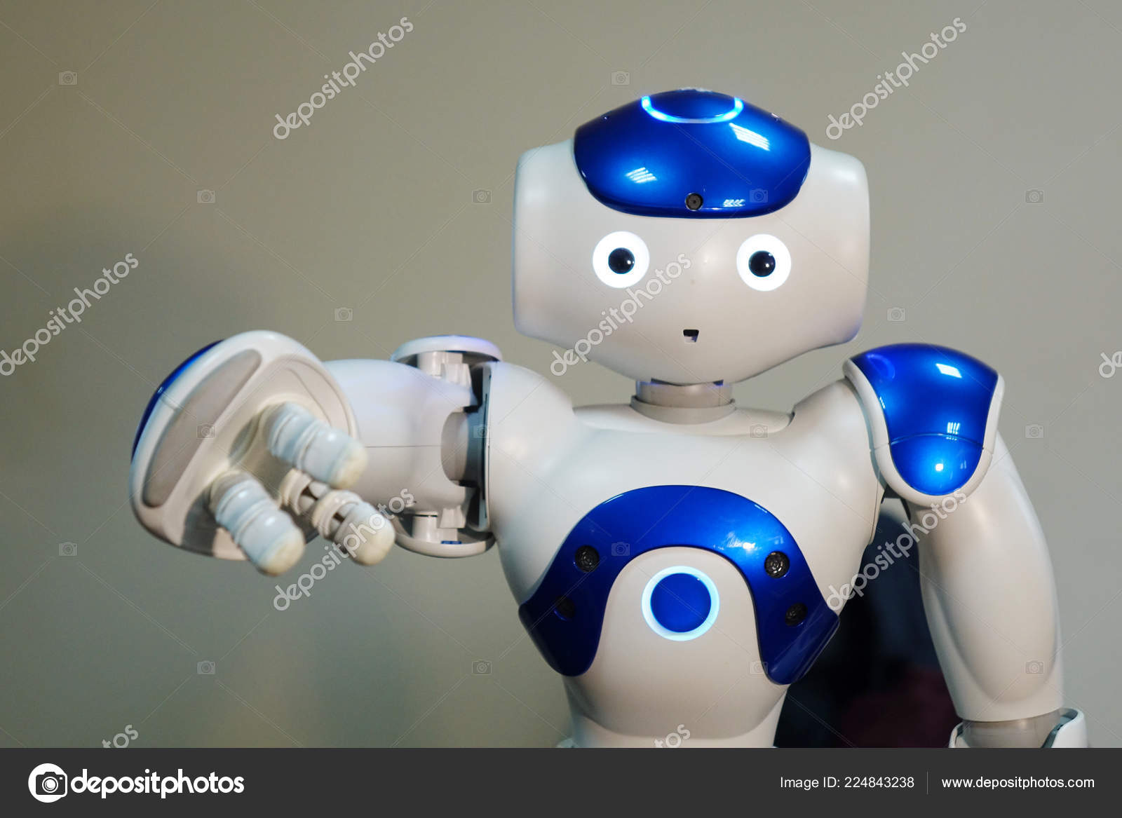 blue and white robot toy