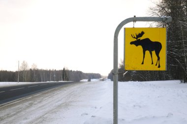 Yol işareti. Geyik vahşi hayvanlar vardır.