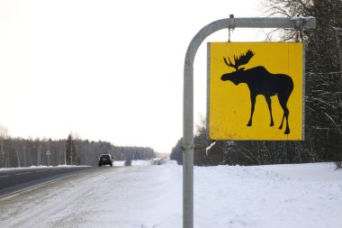 Yol işareti. Geyik vahşi hayvanlar vardır.