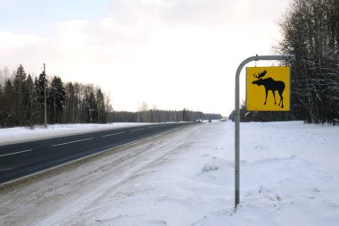 Yol işareti. Geyik vahşi hayvanlar vardır.