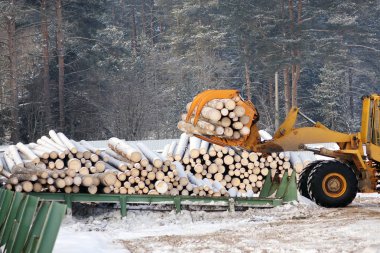Kereste yükleme. Orman günlüğe kaydeder, traktör boşaltın. Orman endüstrisi.