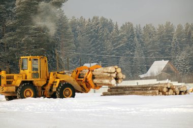 Kereste yükleme. Orman günlüğe kaydeder, traktör boşaltın. Orman endüstrisi.