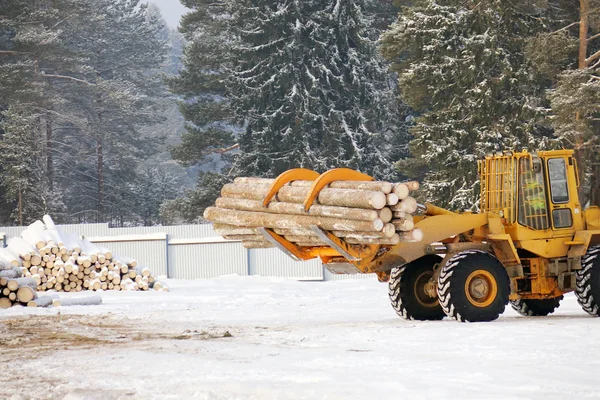 正在装载木材。森林原木, 卸下拖拉机。林业. — 图库照片