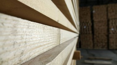 Ahşap plakalar üretimi için bitki. Pilorama. Üretim, imalat ve kerestelerin kavramı.