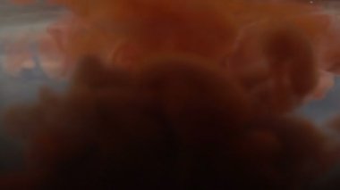 Bir mürekkep damlası suya düşüyor. Kırmızı. Renkli soyutlama.