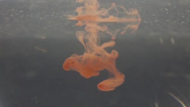 Egy csepp-ból tinta beleesik a vízbe. Piros. Színes absztrakció. — Stock videók