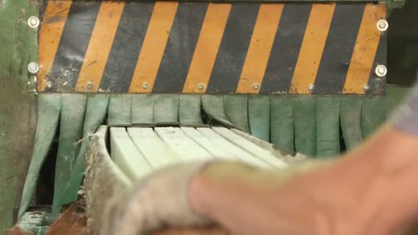 Fabriek voor de productie van houten planken. Pilorama. — Stockvideo