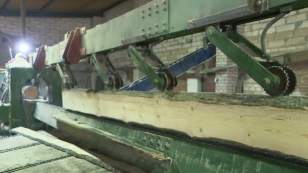 木の板の生産のための工場。Pilorama. — ストック動画