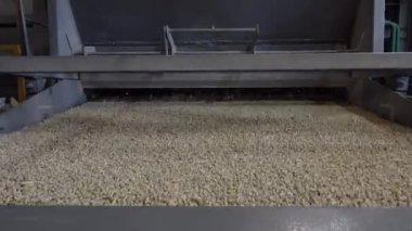 Bitki Biyokütleden briketler üretimi için alışveriş. Biyoyakıt.