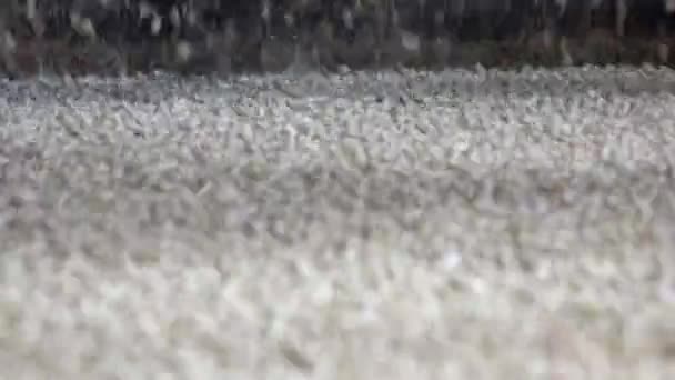 Anlage zur Herstellung von Pellets aus Biomasse und Biokraftstoff. — Stockvideo