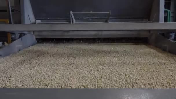 Loja para a produção de pellets a partir de biomassa.Biocombustível . — Vídeo de Stock