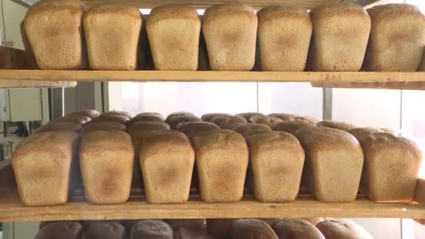 Производство хлеба. Пекарня со свежим хлебом . — стоковое видео