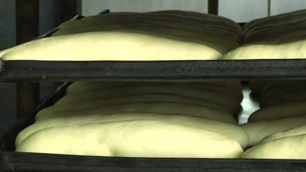 Produzione di pane. Panificio con pane fresco . — Video Stock