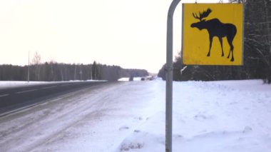 Yol işareti. Geyik vahşi hayvanlar vardır