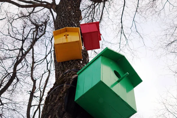 Gekleurde nestkastjes. Kleurrijke vogel huizen — Stockfoto