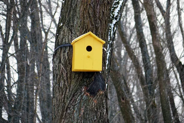 Χρωματιστά birdhouses. Πολύχρωμο πουλί σπίτια — Φωτογραφία Αρχείου