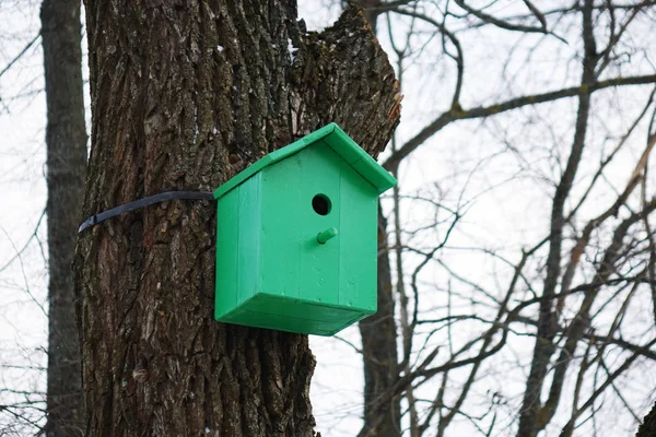 Gekleurde nestkastjes. Kleurrijke vogel huizen — Stockfoto