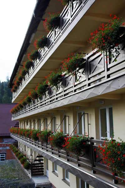 Geranium flowers on the balcony of a house . — Stock Photo, Image