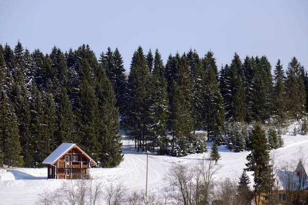 Paisaje invernal con una casa de madera en el borde del bosque —  Fotos de Stock