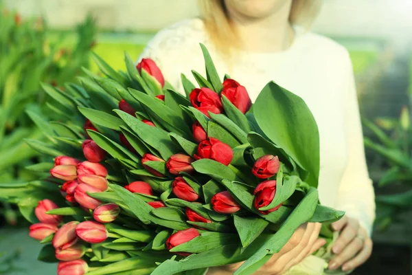 Букет тюльпанів в руках дівчини. Букет з червоних тюльпанів. Весняний подарунок для дівчинки  . — стокове фото