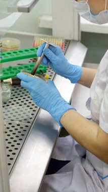 Kadın bir laboratuvarda araştırma bilim adamı. Biyoteknoloji.