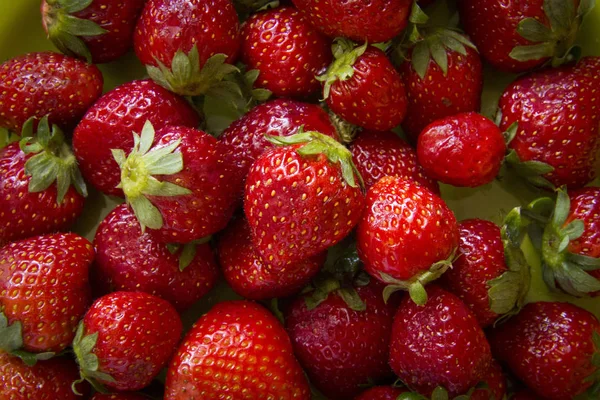 Erdbeere. frische Bio-Beeren . — Stockfoto