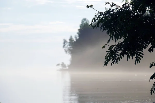 Manhã nebulosa no lago. natureza, paisagem — Fotografia de Stock