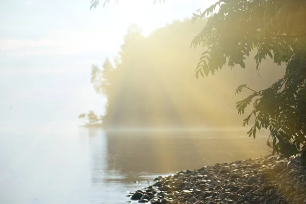 Manhã nebulosa no lago. natureza, paisagem — Fotografia de Stock