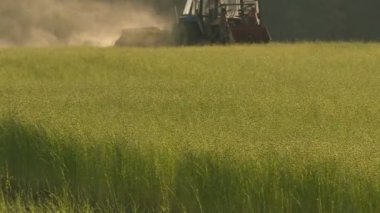 Keten alan yaz gün hasat sırasında. Operasyonda Tarım makineleri.