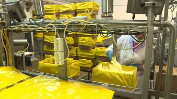 버터는 유제품 공장에서 컨테이너에 파이프에서 puring. — 비디오