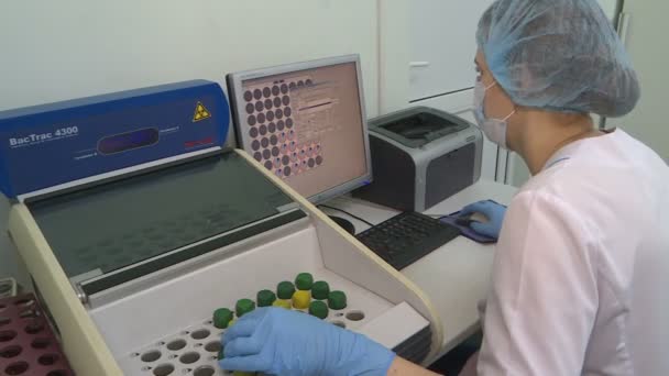 Een vrouwelijke wetenschapper voert onderzoek met behulp van een micro-pipet in het laboratorium. Biotechnologie. — Stockvideo